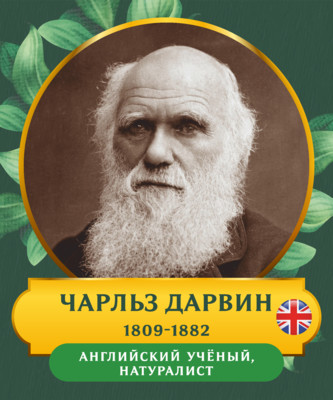 Стенд Портрет Чарльз Дарвин для кабинета биологии